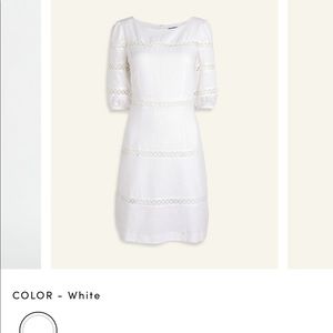 Ann Taylor Petite Circle Lace Trim Flare Dress